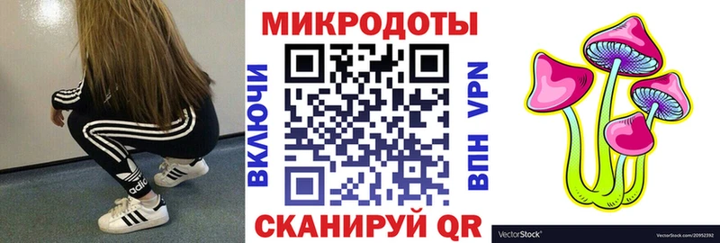 Купить  Ершов  Псилоцибиновые грибы Psilocybe 